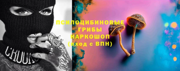 гашик Красноперекопск