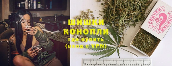 ПСИЛОЦИБИНОВЫЕ ГРИБЫ Краснослободск