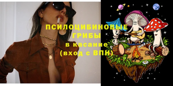 гашик Красноперекопск
