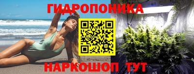 МДПВ Гатчина