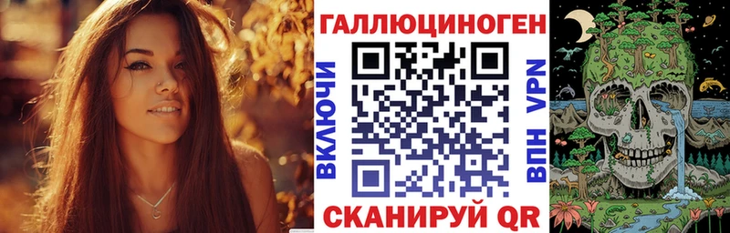 купить наркоту  Кисловодск  Псилоцибиновые грибы GOLDEN TEACHER 