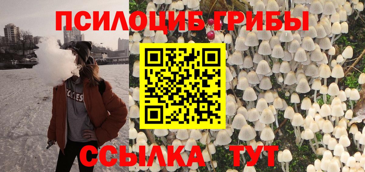 Кисловодск  Галлюциногенные грибы Psilocybe  Вход с VPN  Галлюциногенные грибы Magic Shrooms 