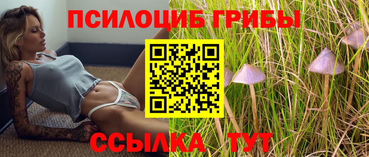 Галлюциногенные грибы Magic Shrooms  Галлюциногенные грибы MAGIC MUSHROOMS  Кисловодск  Вход с VPN 