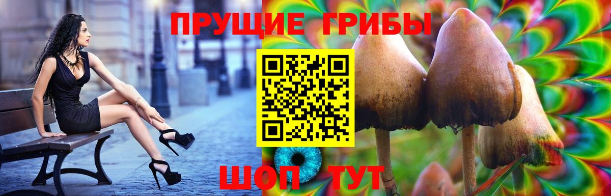 Галлюциногенные грибы мухоморы Кисловодск