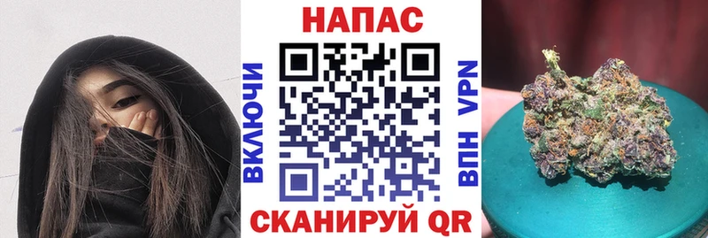 где найти Кисловодск Марихуана Amnesia